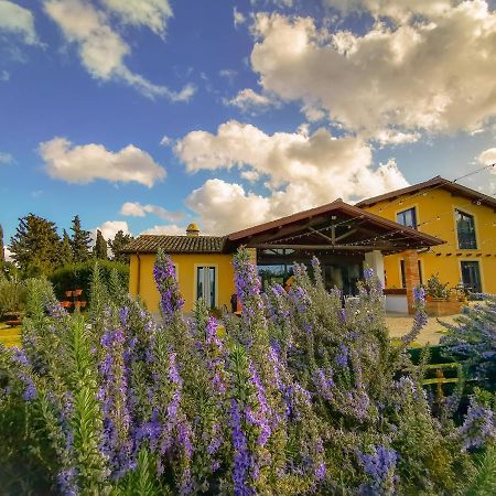 Country House Erba Regina Frascati Exteriér fotografie