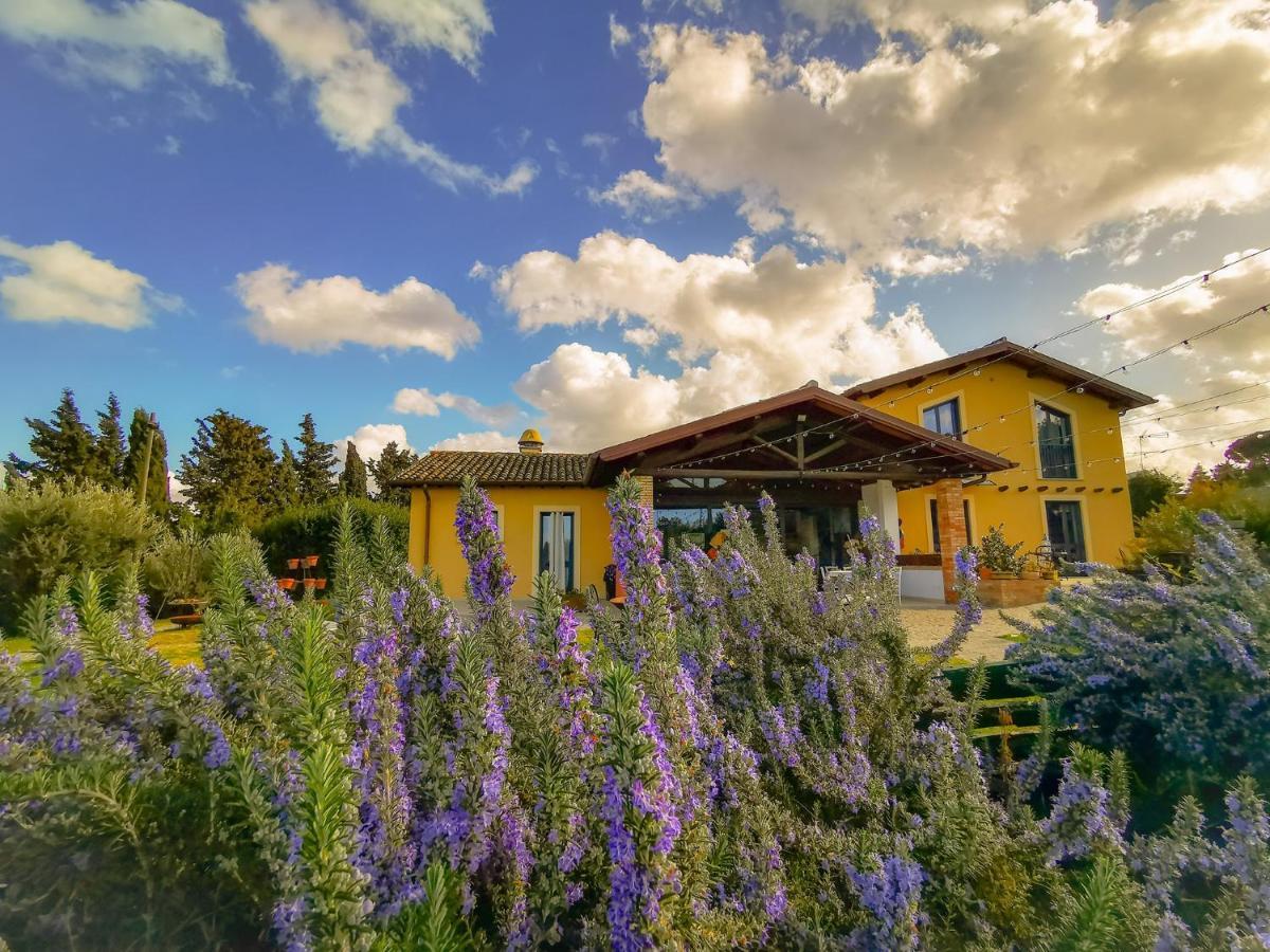 Country House Erba Regina Frascati Exteriér fotografie
