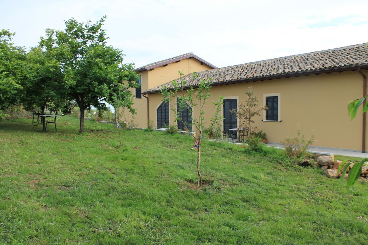 Country House Erba Regina Frascati Exteriér fotografie