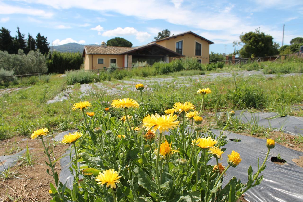 Country House Erba Regina Frascati Exteriér fotografie
